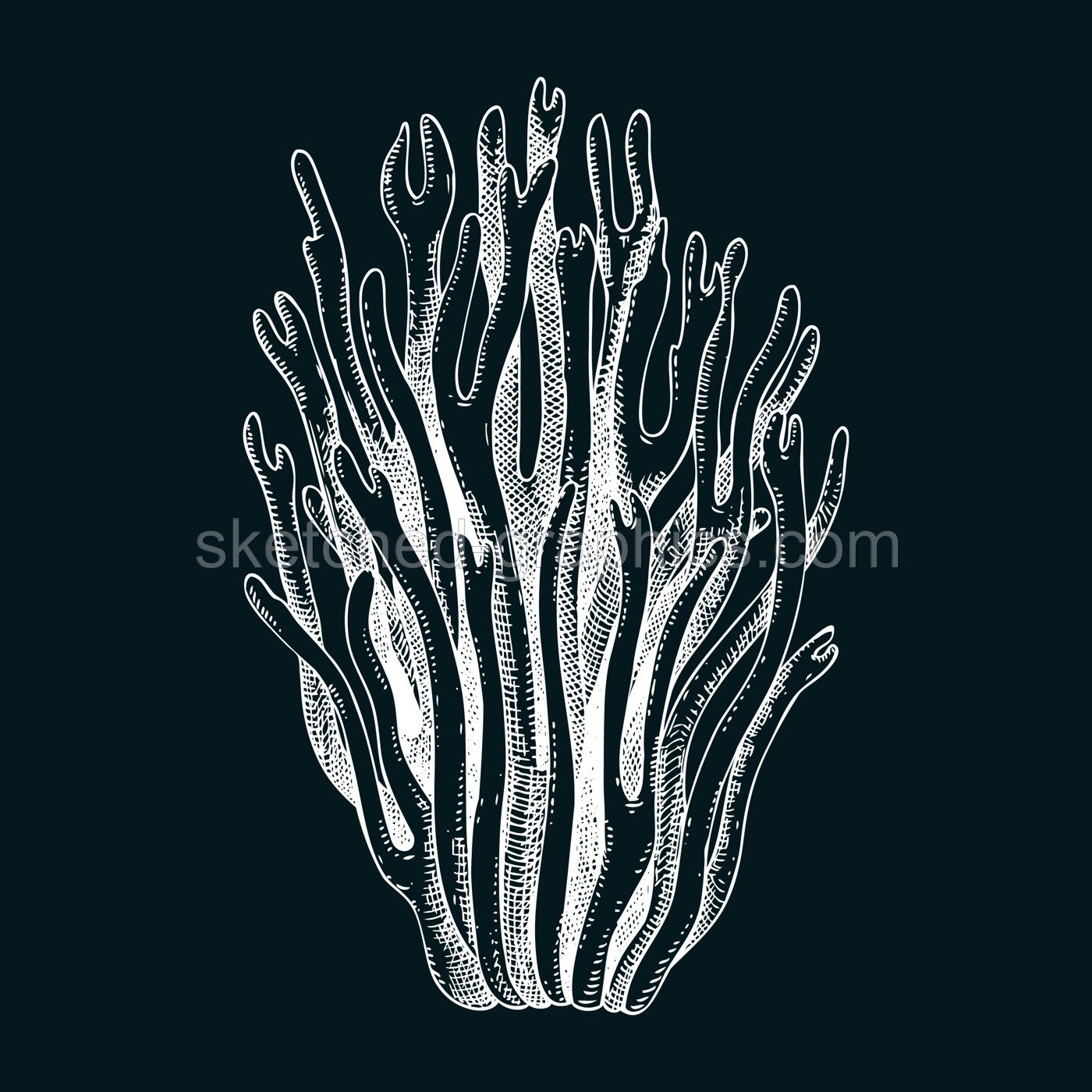 Scarlet elf cup mushroom sketch. Weird fungus illustration in vintage style. Hand-drawn forest plant. Scarlet cap - exotic mushroom drawing on chalkboard Illustration